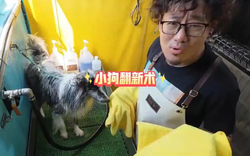 狗狗维修空调：萌宠新技能，夏日清凉神器！ 家庭维修