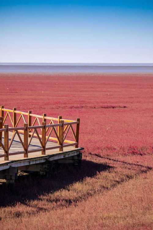 两极空调维修：守护极地家园的温暖守护者 家庭维修