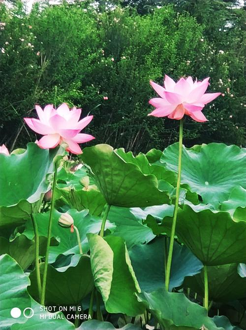 北京空调维修证：守护夏日清凉的“绿色通行证” 家庭维修