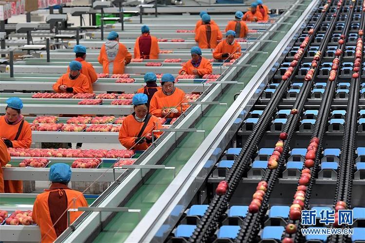 小苹果：空调维修中的“暖阳”，守护家的清凉 家庭维修