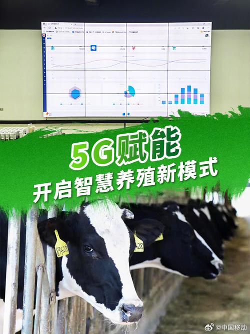 石康镇：空调维修新篇章，智慧生活新体验 家庭维修