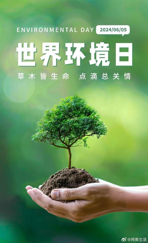 空调滤网的更换：守护家中清凉的绿色守护者 家庭维修