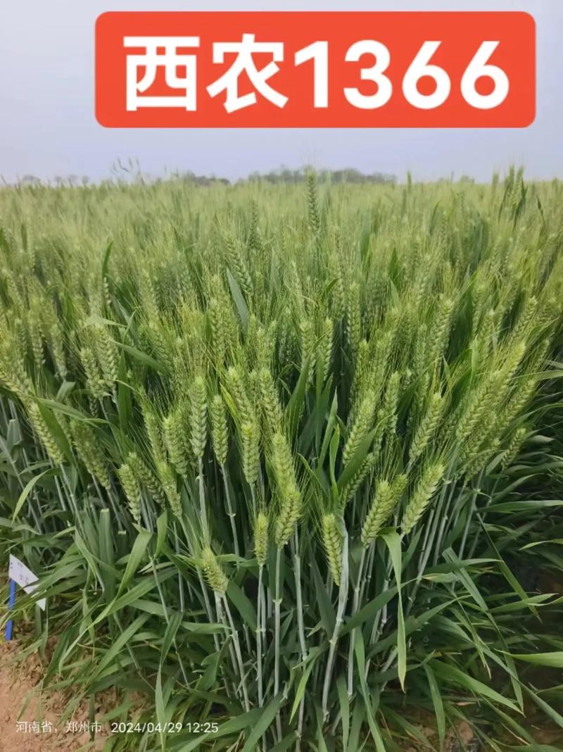 空调终身维修：未来家居生活的绿色承诺 家庭维修