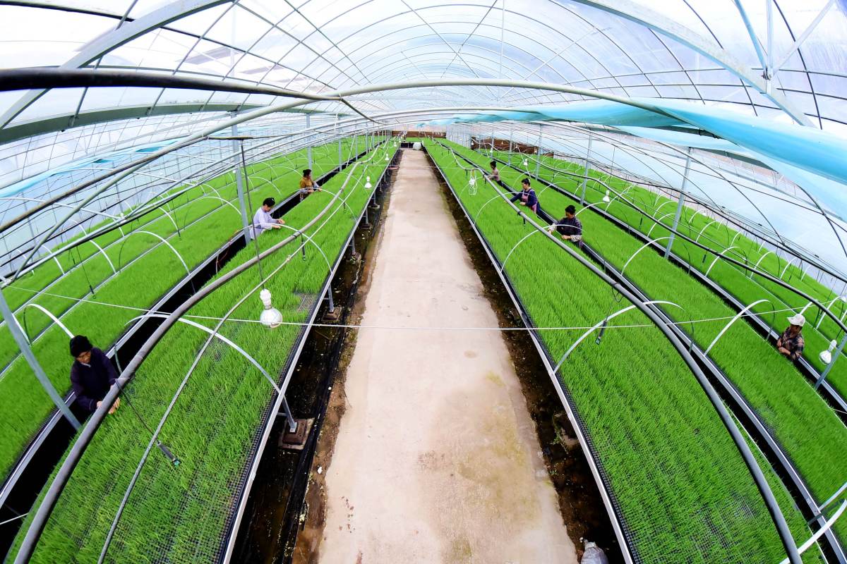 空调维修五峰：技术革新下的绿色守护者 家庭维修