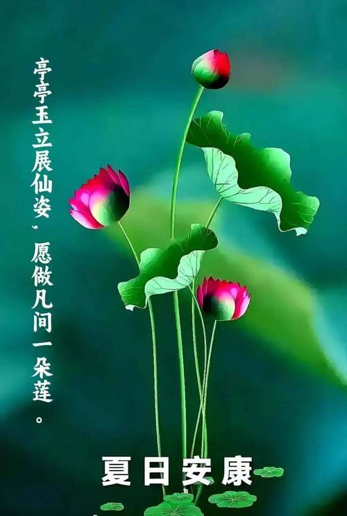 空调维修请示卡：保障夏日清凉，守护绿色家园 家庭维修