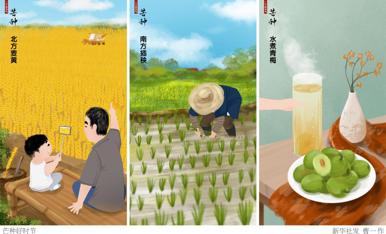 芒种时节，空调维修的智慧守护 家庭维修