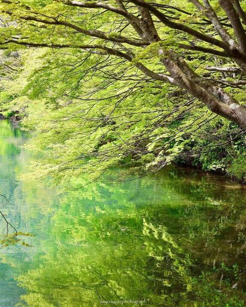 蒙圩空调维修：技术精湛，服务至上，打造绿色清凉生活 家庭维修