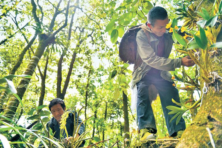 上海拆空调维修：技术革新下的绿色之路 家庭维修