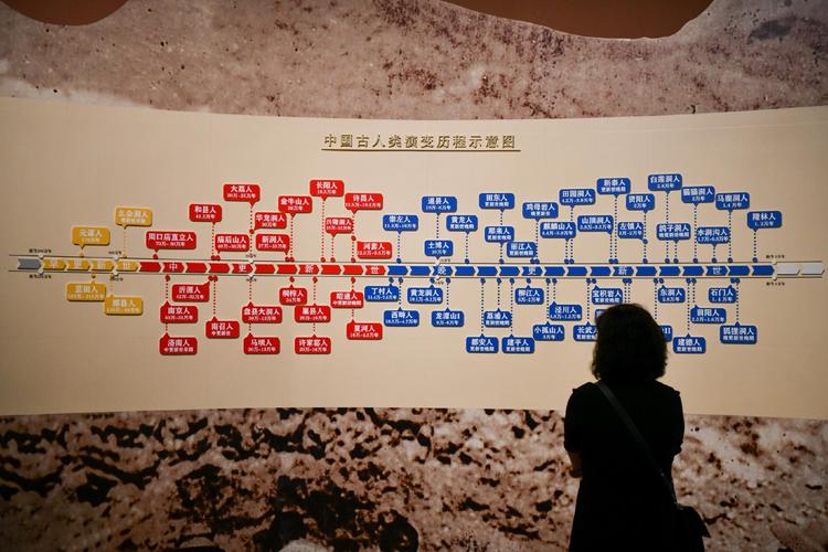 二十年空调维修之路：技术革新与行业展望 家庭维修