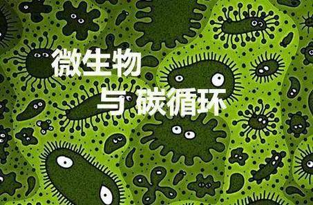 空调清洁：守护家中“绿色呼吸”的守护者 家庭维修