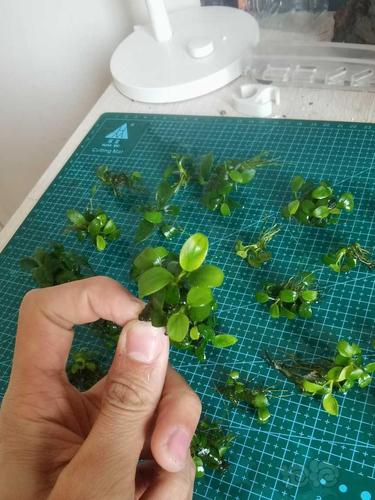 WTc空气能,绿色节能的新时代能源解决方法_wtc空气能 割草机维修