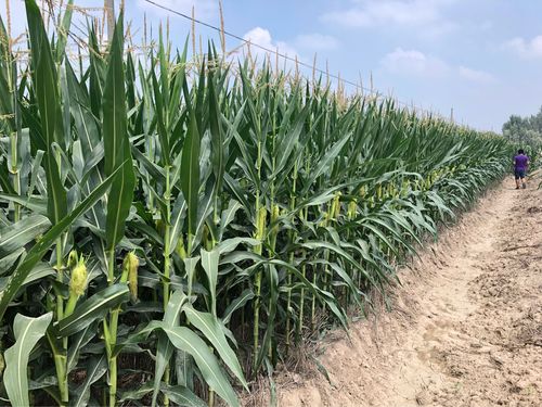 临邑空气能安装,绿色节能的新风尚_临邑空气能安装 硬件故障检测