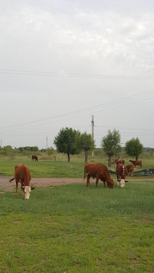 乌审旗,内蒙古的空气能绿色王国_内蒙乌审旗空气能 手机维修
