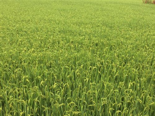 乐歌太阳能空气能新品引领绿色节能新潮流_乐歌太阳能空气能新品 水管维修