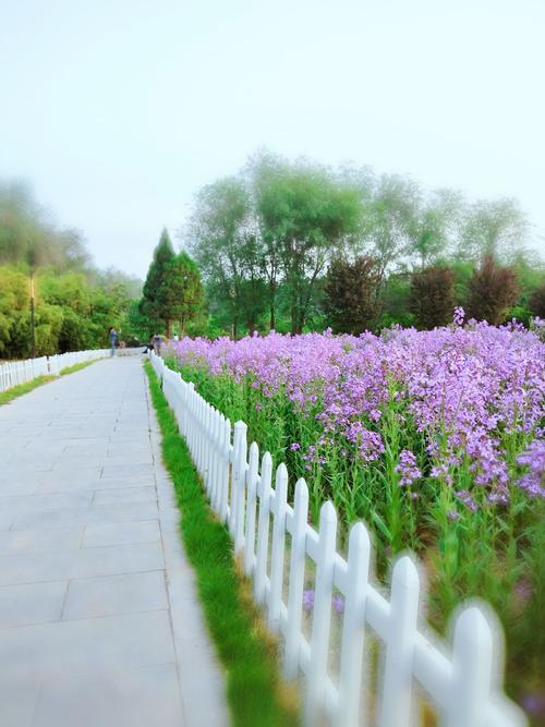 《伊川蓝》,探寻伊川县空气质量背后的绿色秘密_伊川县空气能 割草机维修