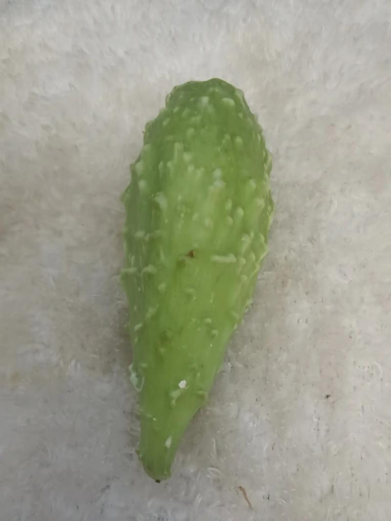 上海荣事达空气能配件,引领行业新潮流，守护绿色家园_上海荣事达空气能配件 水龙头更换