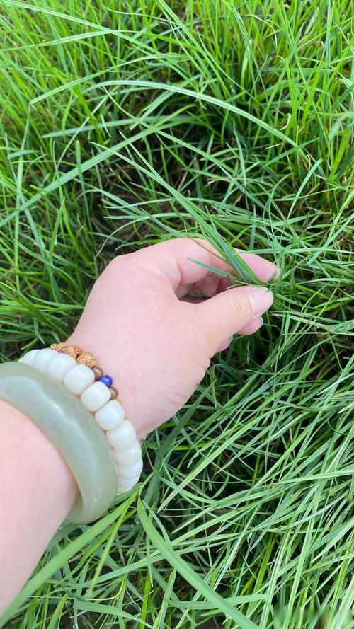 上海风驰空气能,绿色节能的未来，科技引领的典范_上海风驰空气能 电池更换