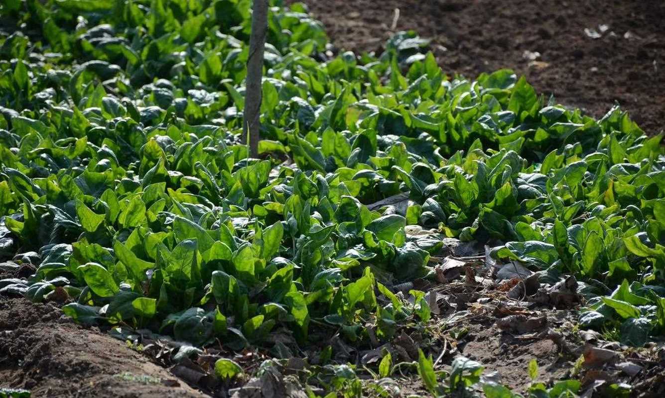 义马空气能恒温泳池,绿色节能的泳池革命者_义马空气能恒温泳池 灌溉系统维修