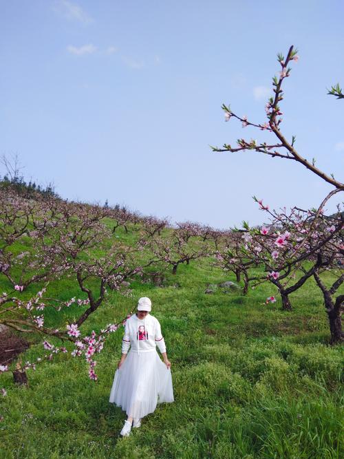 九牧空气能花酒,绿色健康生活的引领者_九牧空气能花酒 水管漏水修理
