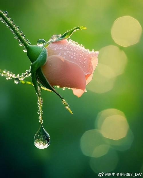 介绍格力空气能制热原理,绿色节能的温暖守护者_格力空气能如何制热 水龙头更换