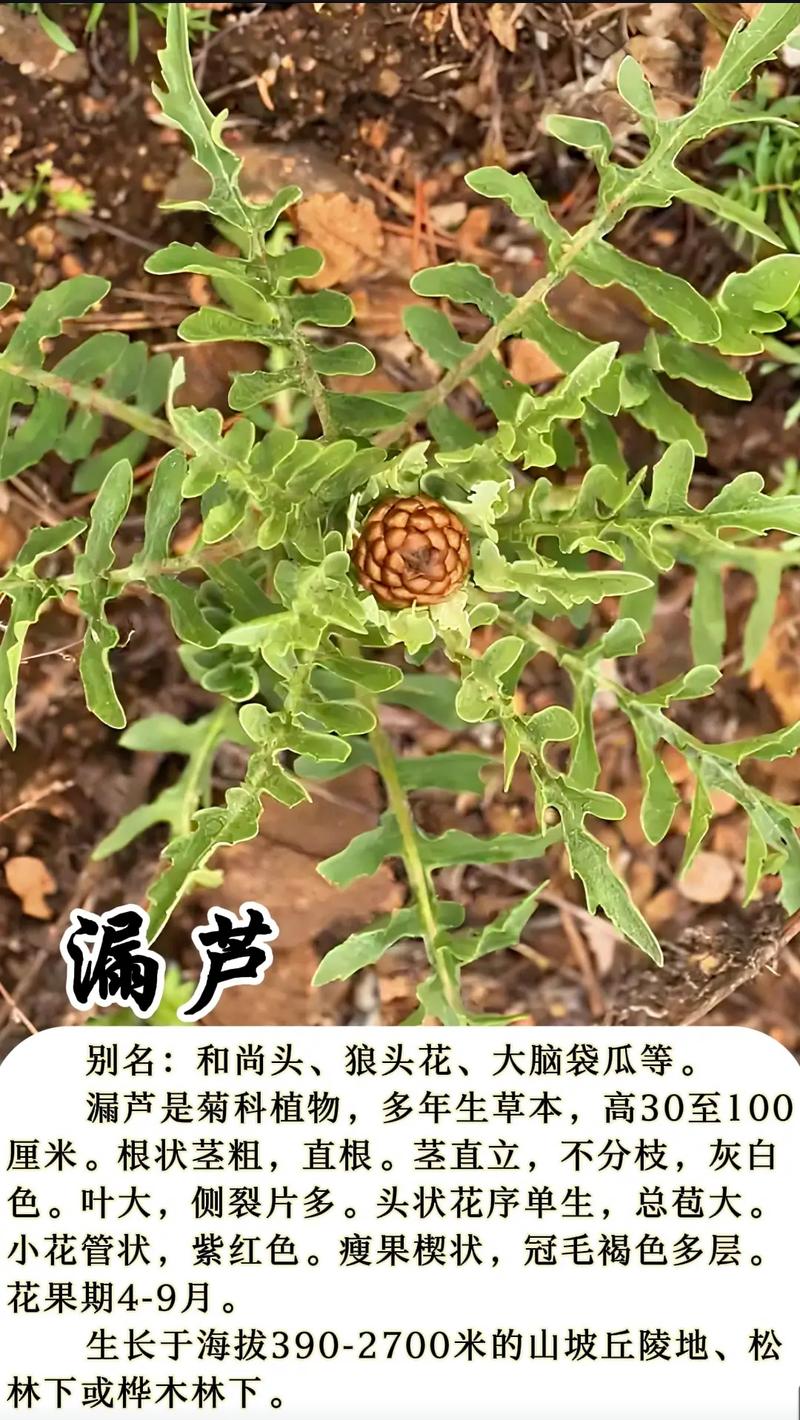 介绍空气导电潮湿之谜,探寻自然界的奇妙现象_空气能导电潮湿原因 园艺维修