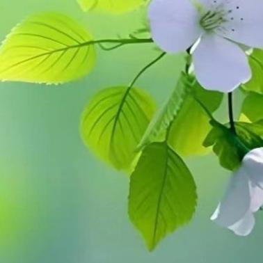 介绍空气能加热水的奥秘,节能环保的绿色科技_空气能加热水吗 家庭维修