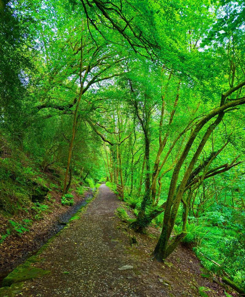 介绍空气能空调实测电流,技术革新引领绿色未来_空气能空调实测电流 水管漏水修理