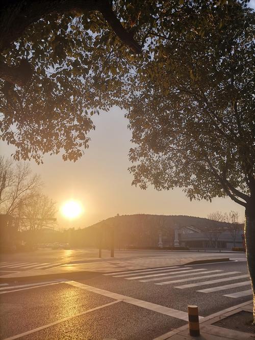介绍能美空气采样技术,守护室内空气质量，共筑健康生活空间_能美空气采样pdf 电子产品维修