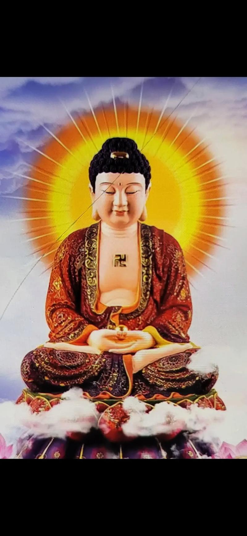 佛迪加空气能,绿色能源的引领者，智慧生活的创造者_佛迪加空气能 树木修剪