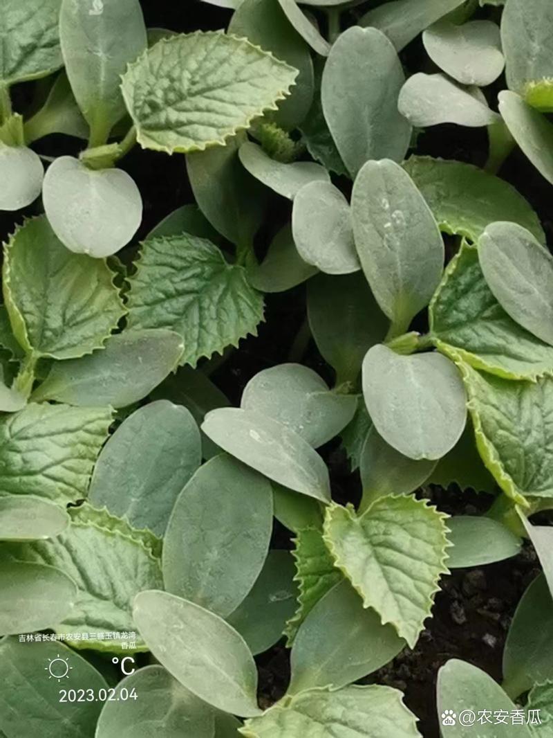 农安空气能招商加盟,绿色节能新潮流，共创美好未来_农安空气能招商加盟 水管维修