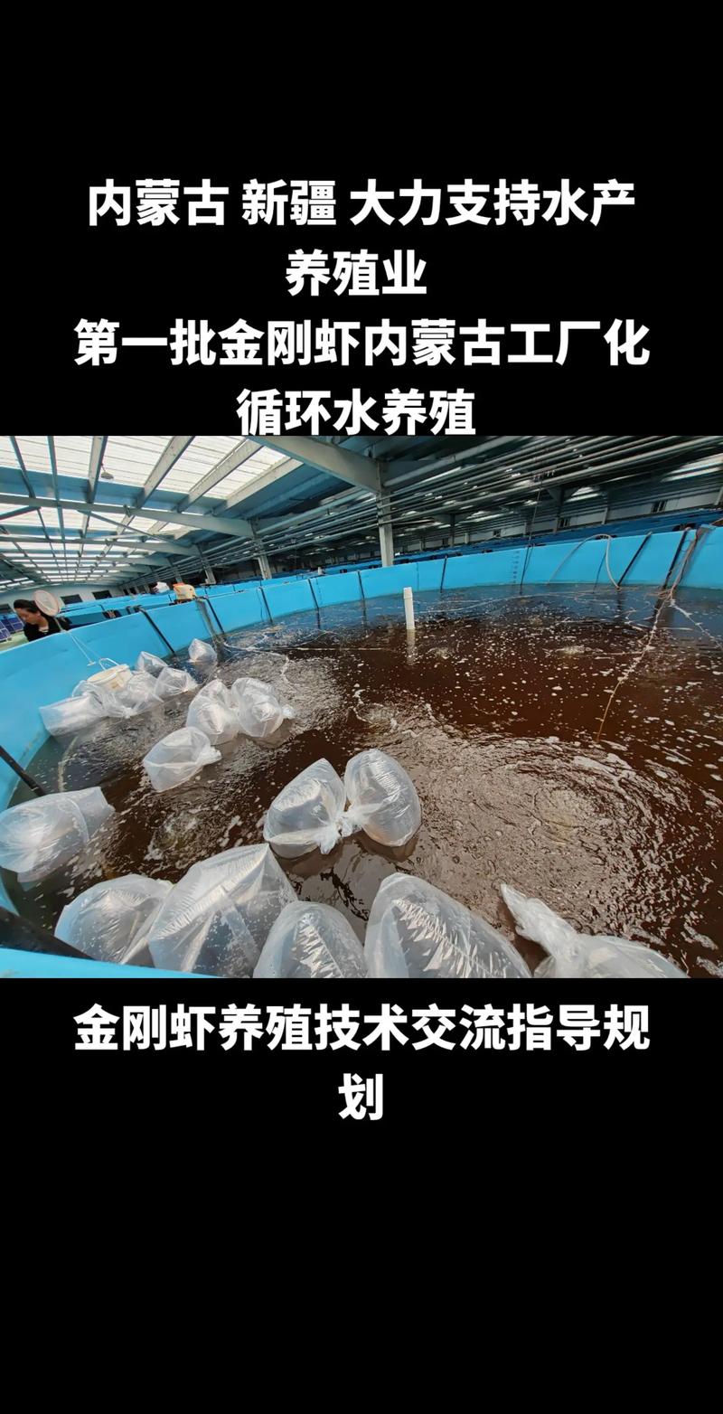 创新养殖技术,养虾空气能热泵助力绿色生态养殖_养虾空气能热泵 水管漏水修理