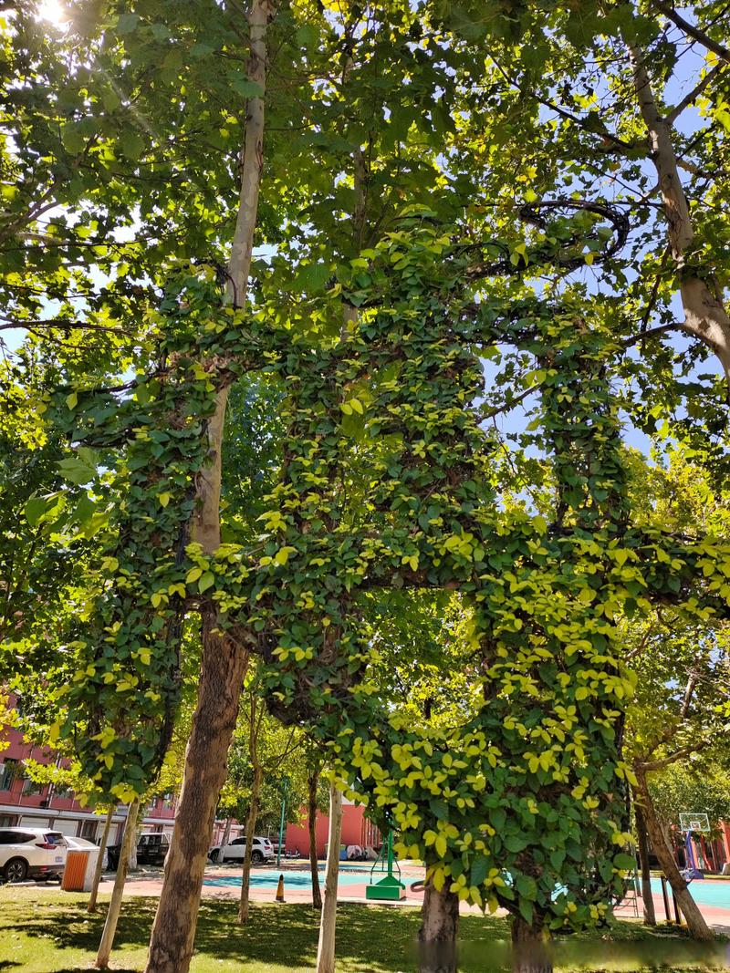 博兴空气能采暖,绿色节能，引领未来家居生活新风尚_博兴空气能采暖安装 电锯维修