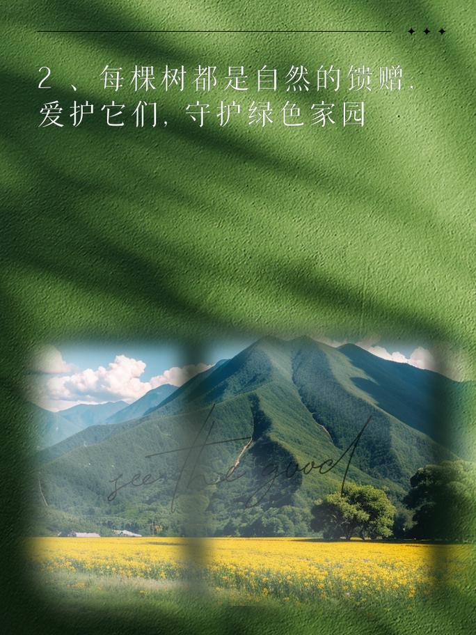 塑料空气膜,隔音革命的绿色守护者_塑料空气膜能隔音 电脑维修