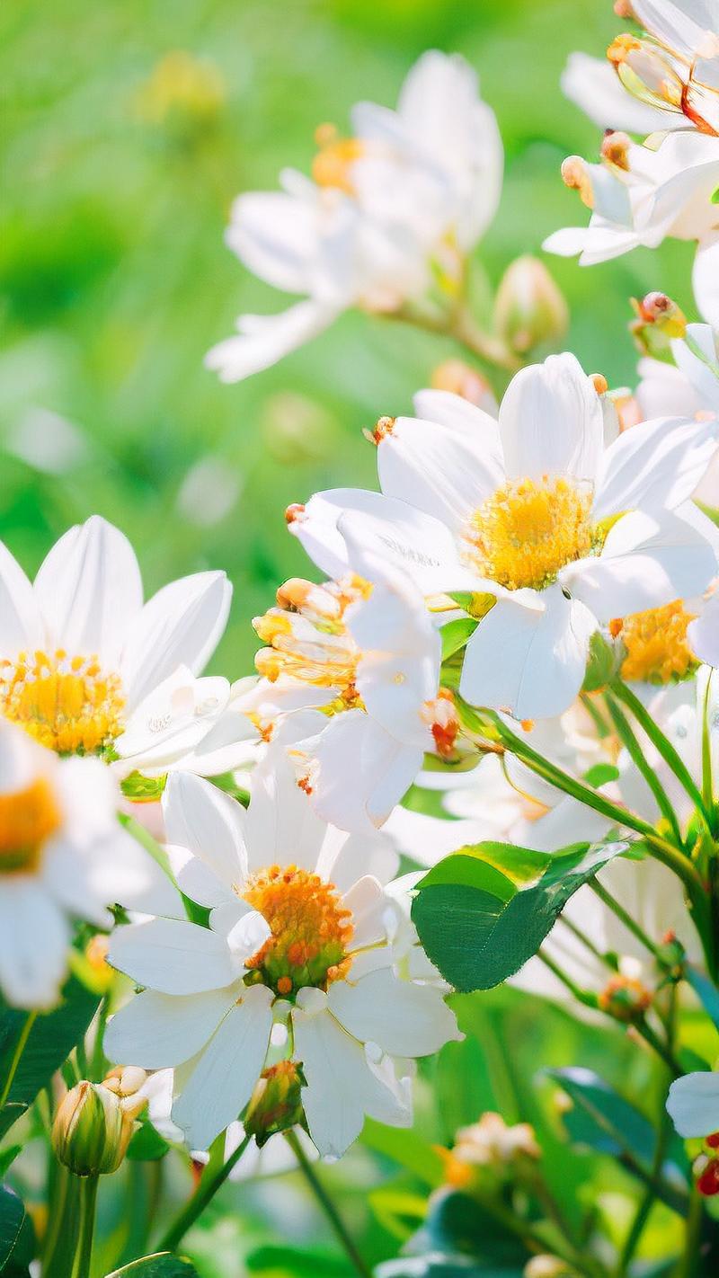 太原农村拥抱绿色未来,空气能采暖引领低碳生活新风尚_太原农村空气能采暖 相机维修