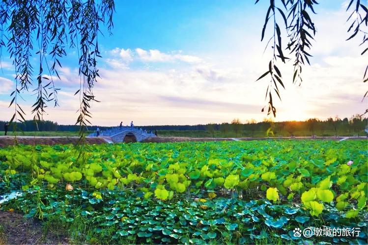 东明县,空气清新，生态宜居的绿色家园_东明县空气能 发动机清洗